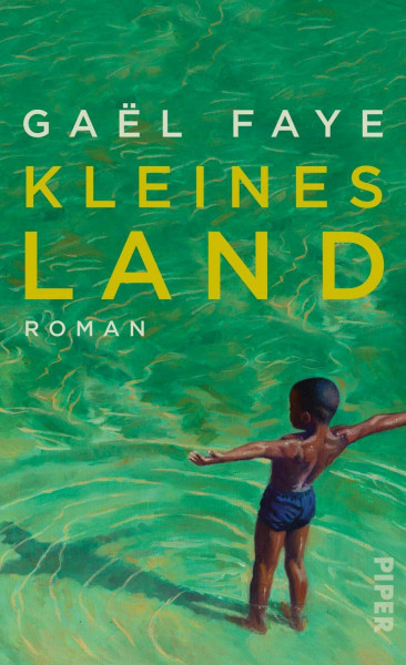 Kleines Land: Roman