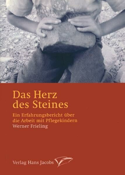 Das Herz des Steines: Ein Erfahrungsbericht über die Arbeit mit Pflegekindern