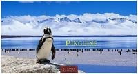 Pinguine 2022 - Format S