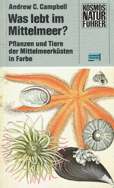 Was lebt im Mittelmeer? Pflanzen und Tiere der Mittelmeerküsten in Farbe