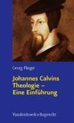 Johannes Calvins Theologie - Eine Einführung