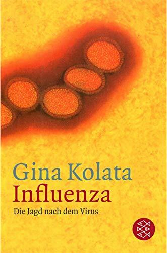 Influenza: Die Jagd nach dem Virus (Fischer Sachbücher)