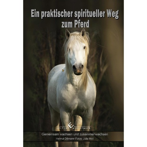 Ein praktischer spiritueller Weg zum Pferd