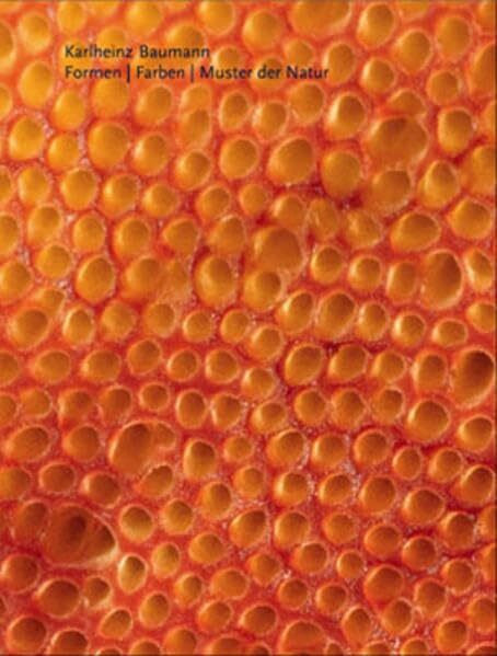 Formen | Farben | Muster der Natur: Shapes, colours and pattern in nature