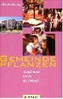 Gemeinde pflanzen: Modell einer Kirche der Zukunft