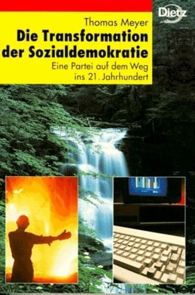 Die Transformation der Sozialdemokratie: Eine Partei auf dem Weg ins 21. Jahrhundert (Politik im Taschenbuch)