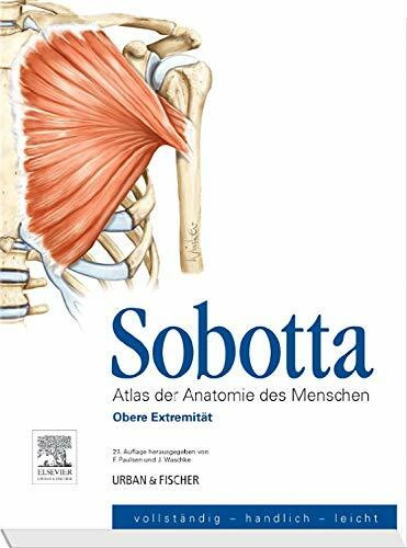 Sobotta, Atlas der Anatomie des Menschen Heft 2: Obere Extremität