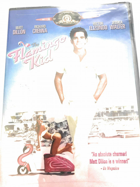 The Flamingo Kid