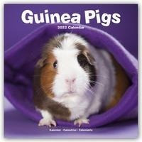 Guinea Pigs - Meerschweinchen 2022 - 18-Monatskalender