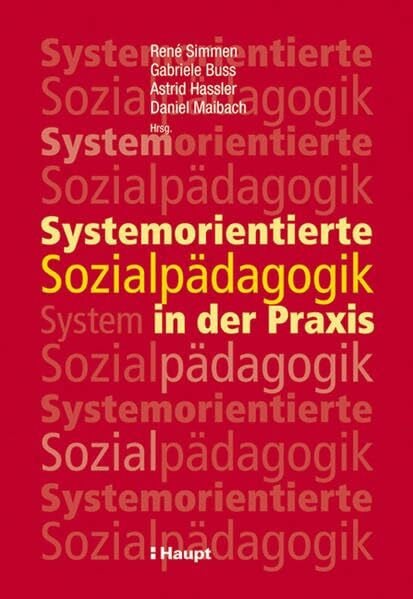 Systemorientierte Sozialpädagogik in der Praxis