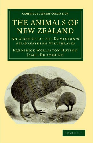 The Animals of New Zealand: An Account of the Dominion's Air-Breathing Vertebrates (Cambridge Library Collection - Life Sciences)