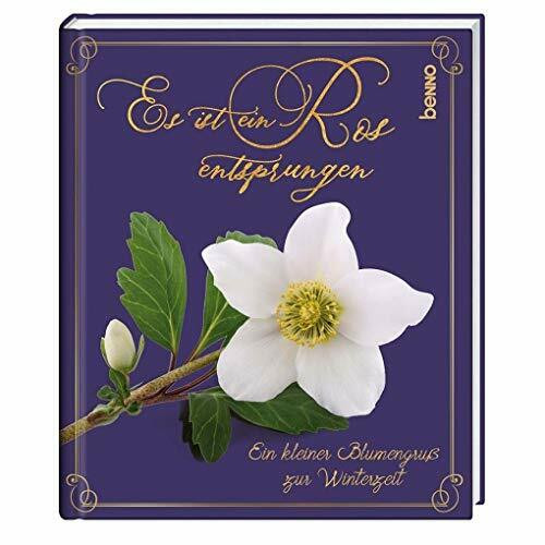 Es ist ein Ros entsprungen: Ein kleiner Blumengruß zur Winterzeit