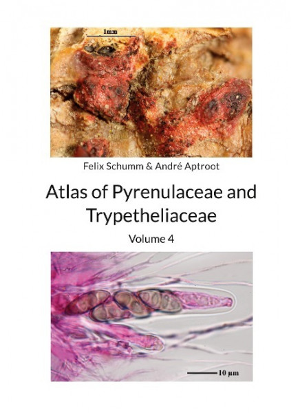 Atlas of Pyrenulaceae and Trypetheliaceae Vol 4