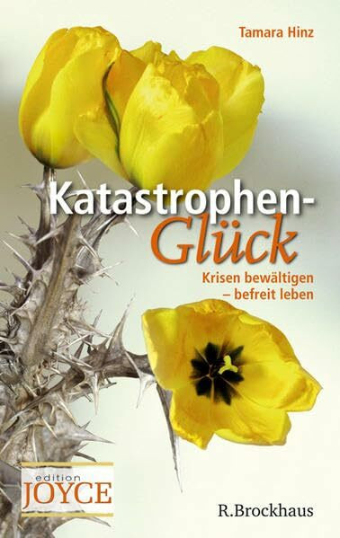 Katastrophen Glück: Krisen bewältigen - befreit leben (Edition Joyce)