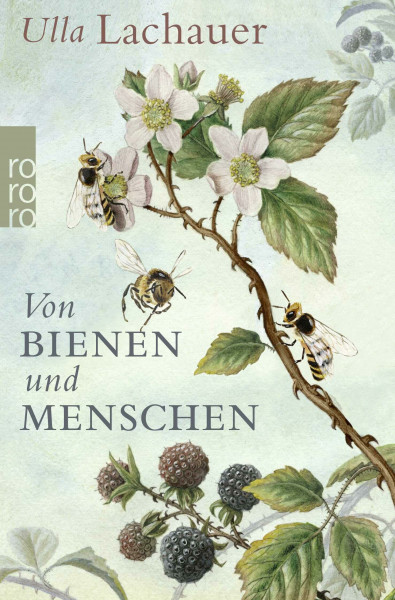 Von Bienen und Menschen: Eine Reise durch Europa