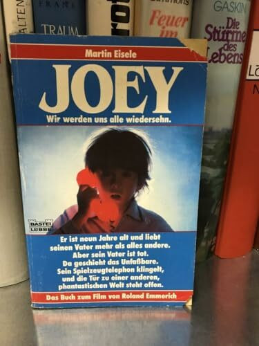Joey - Der Junge, der mit den Geistern sprach: Das Buch zum Film (Allgemeine Reihe. Bastei Lübbe Taschenbücher)