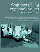 Gruppenhaltung tragender Sauen