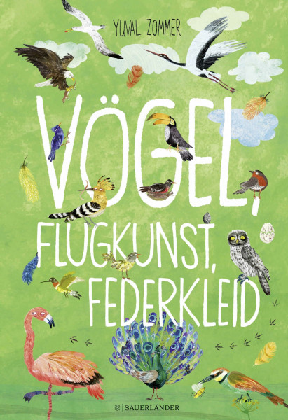 Vögel, Flugkunst, Federkleid: Sachbuchfür Kinder ab 4 Jahren mit wunderschönen Illustrationen und verblüffenden Infos aus der Welt der Vögel