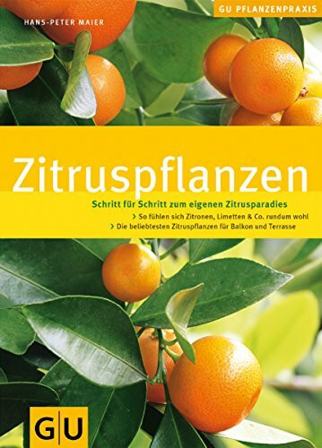 Zitruspflanzen: Schritt für Schritt zum eigenen Zitrusparadies. So fühlen sich Zitronen, Limetten & Co. rundum wohl. Die beliebtesten Zitruspflanzen für Balkon und Terrasse (GU Praxisratgeber Garten)