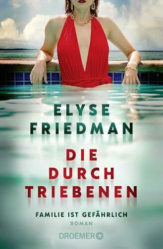 Die Durchtriebenen: Familie ist gefährlich. Roman | Bitter-böser Familien-Thriller aus Kanada