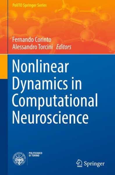 Nonlinear Dynamics in Computational Neuroscience
