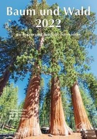Baum und Wald 2022