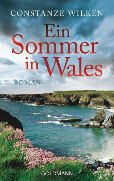 Ein Sommer in Wales: Roman