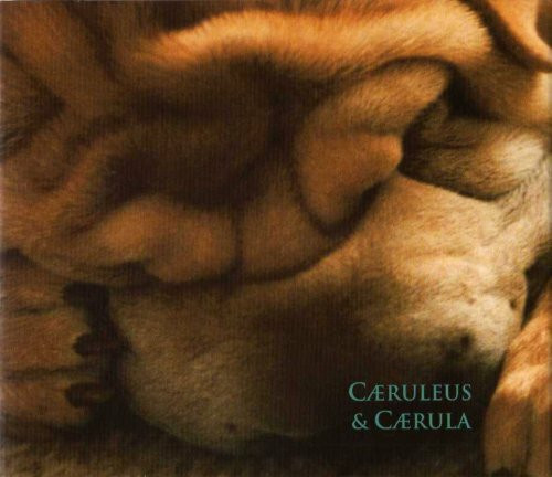 Caeruleus & Caerula. Das Bläuliche & die Bläue des Himmels und des Meeres