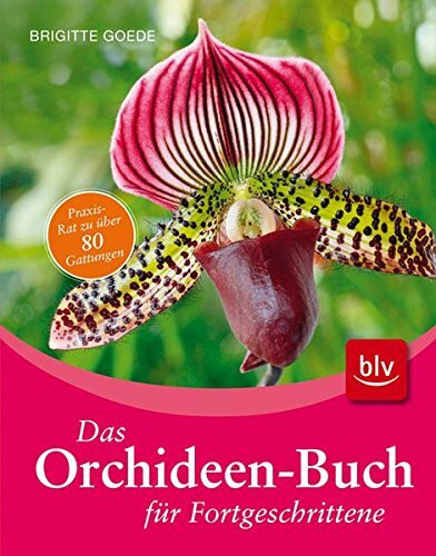 Das Orchideen-Buch für Fortgeschrittene