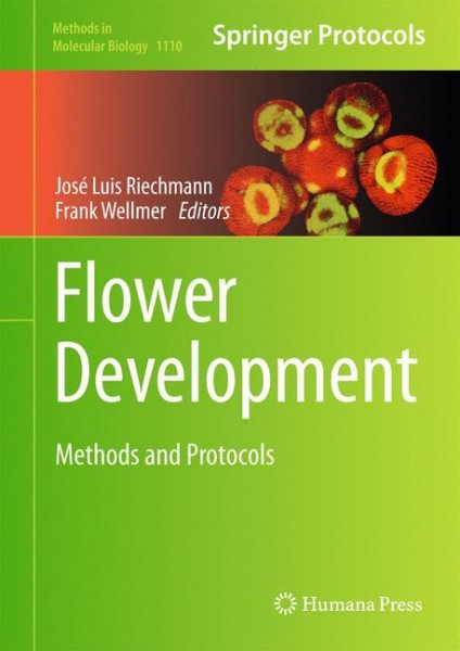 Flower Development