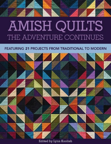 Amish Quilts The Adventure Continues: Featuring 21 Projects from Traditional to Modern