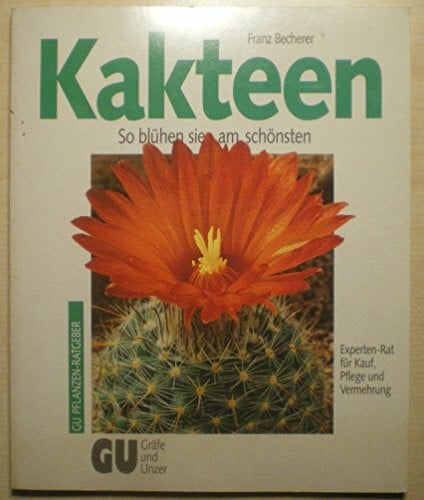 Kakteen