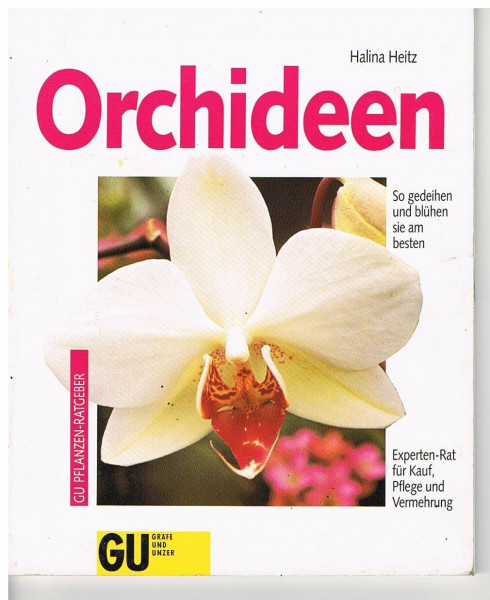 Orchideen. So gedeihen und blühen sie am besten