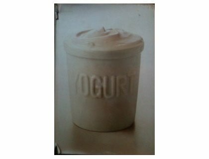 The Complete Book of Yogurt