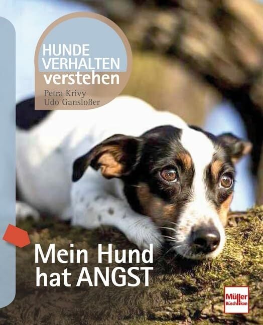 Mein Hund hat Angst: Hundeverhalten verstehen Mein Hund hat Angst: Hundeverhalten verstehen