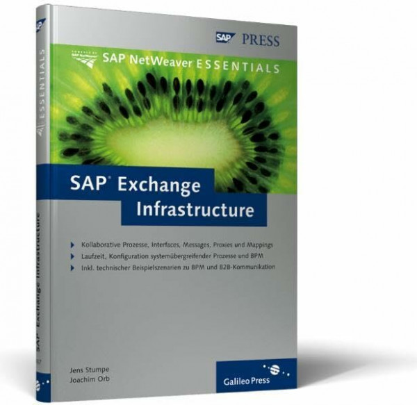 SAP Exchange Infrastructure (SAP PRESS)