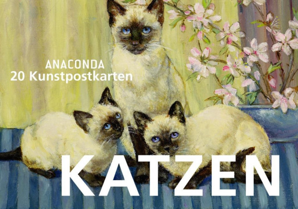 Postkartenbuch Katzen