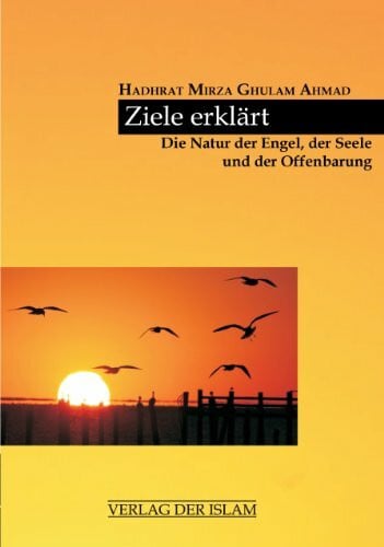 Ziele erklärt