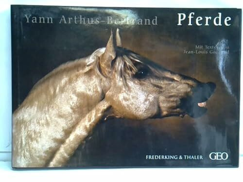 Pferde