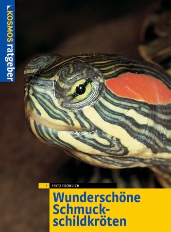 Wunderschöne Schmuckschildkröten