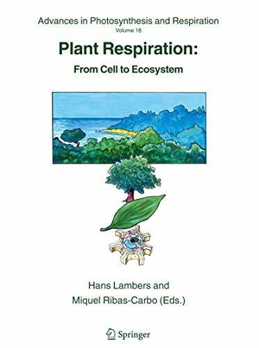 Plant Respiration: From Cell to Ecosystem (Advances in Photosynthesis and Respiration, 18, Band 18)