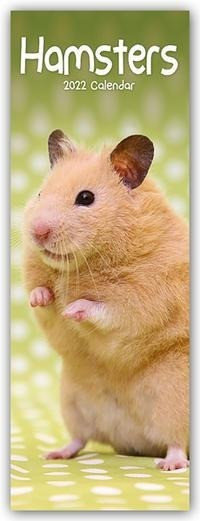 Hamsters - Hamster 2022