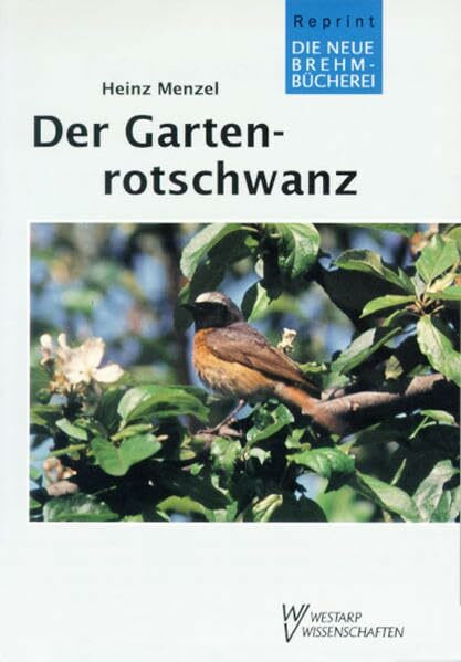 Der Gartenrotschwanz: Phoenicurus phoenicurus