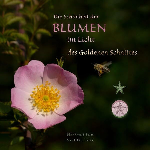 Die Schönheit der Blumen im Licht des Goldenen Schnittes (Merlikin-Lyrik: Hartmut Lux)