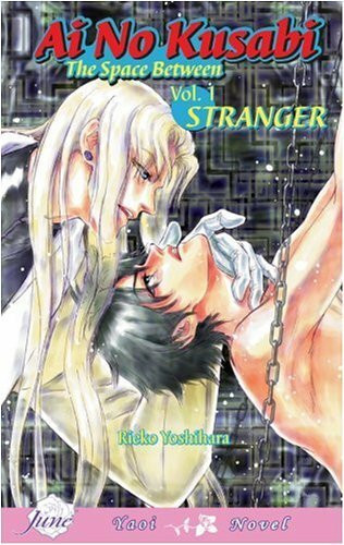 Ai No Kusabi The Space Between Volume 1: Stranger (Yaoi Novel) (AI NO KUSABI SPACE BETWEEN NOVEL)