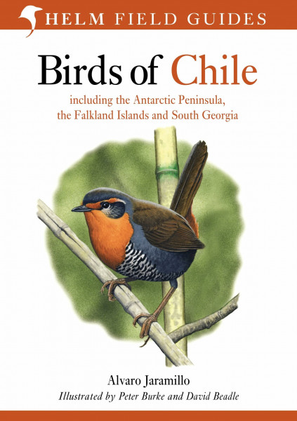 Birds of Chile: Including the Antartic Peninsular, the Falkland Islands and South Georgia (Helm Field Guides)