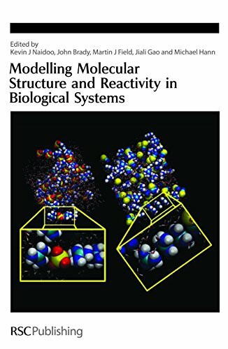 Modelling Molecular Structure and Reactivity in Biological Systems (Special Publications, 304)