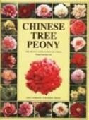 Chinese Tree Peony