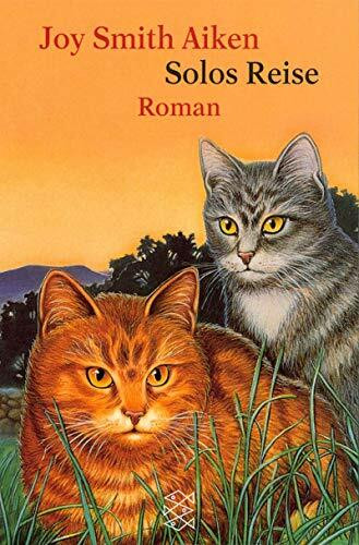 Solos Reise: Roman (Fischer Taschenbücher)