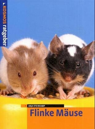 Flinke Mäuse: Meine Mäuse fühlen sich wohl